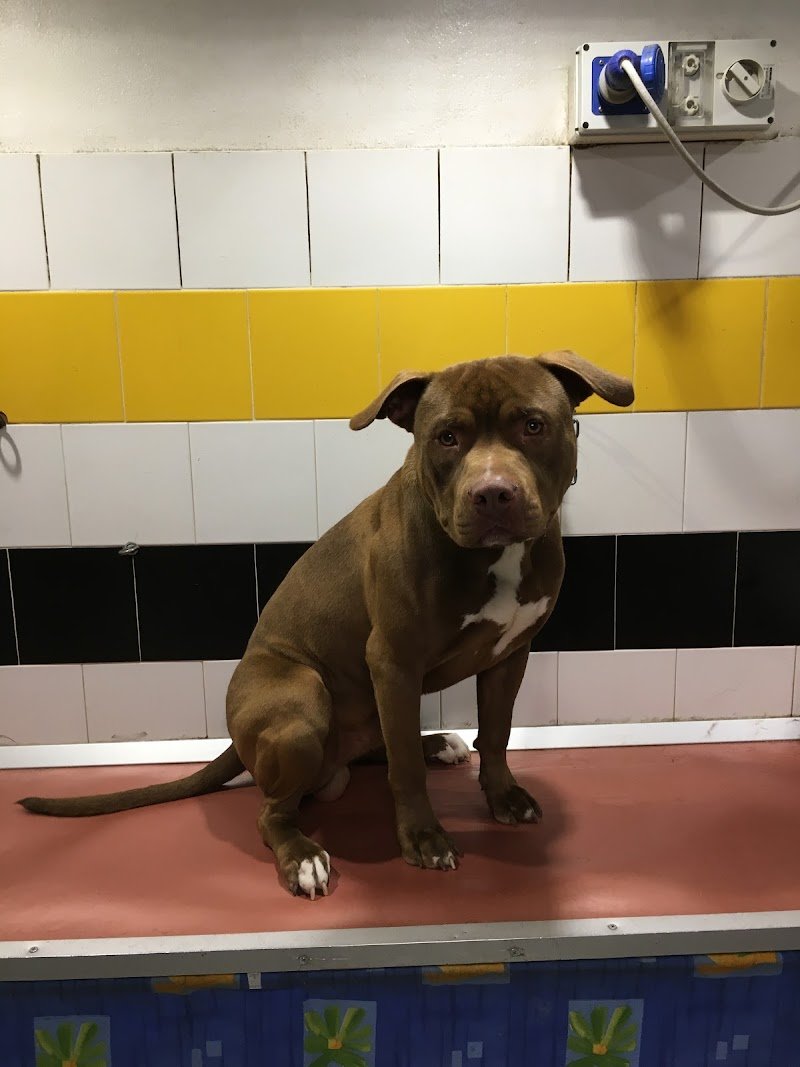 Tom E Jerry - Foto 5