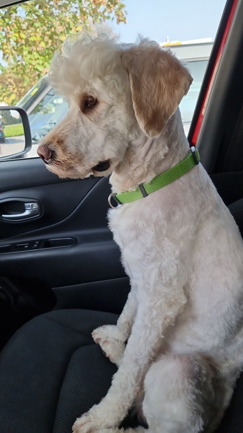 Tom E Jerry - Foto 6