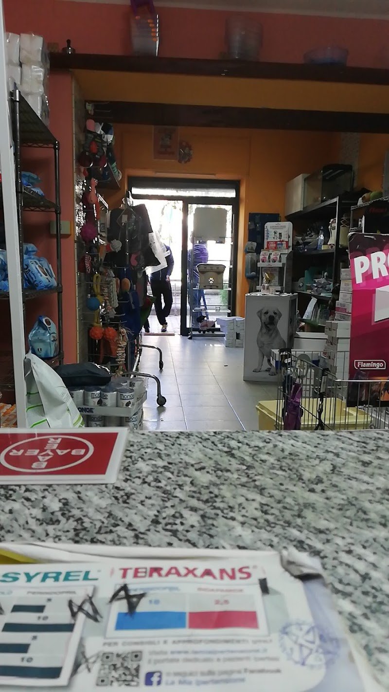 Tom e Jerry Pet Shop - Foto 1