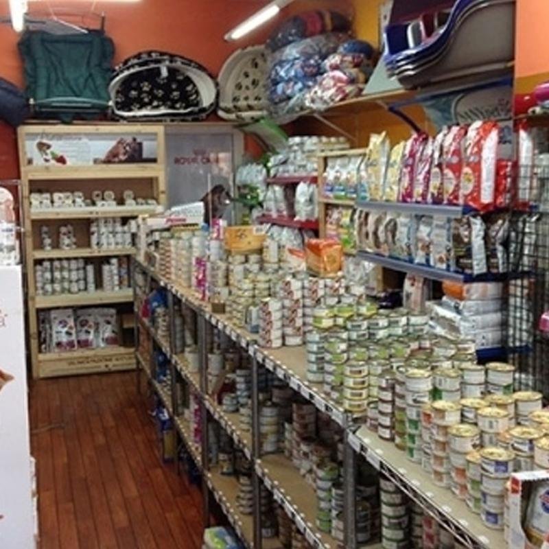 Tom e Jerry Pet Shop - Foto 2