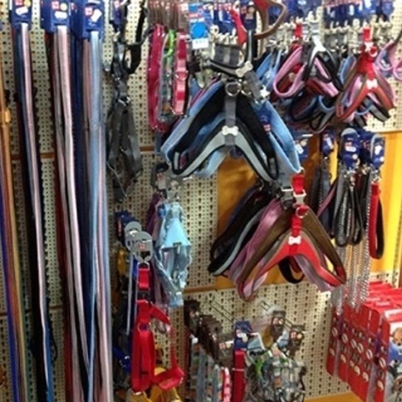 Tom e Jerry Pet Shop - Foto 4