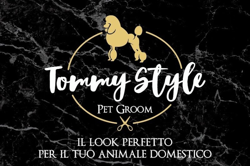 TommyStylePetGroom - Foto 3