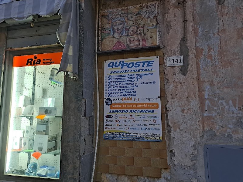 Top dog Avallone - Foto 4