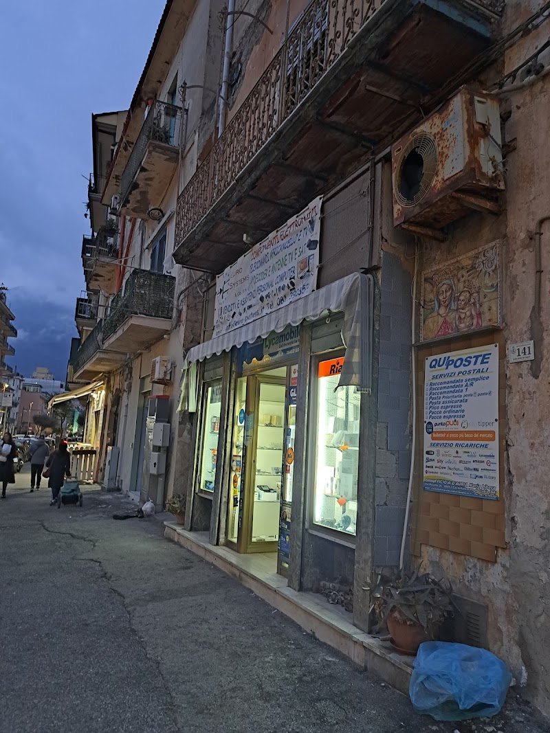 Top dog Avallone - Foto 5