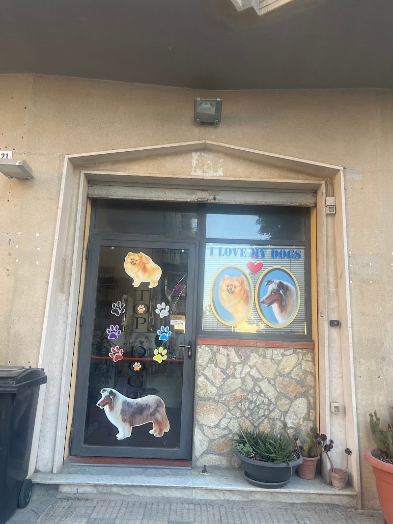 Top dog di Micciche Marco - Foto 1