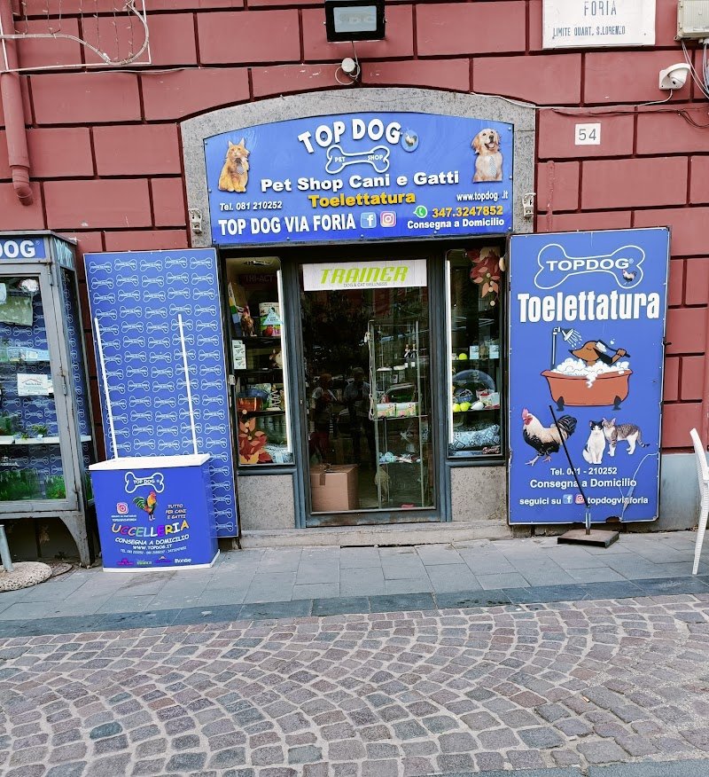 Top Dog Di Silvestri Salvatore - Foto 4