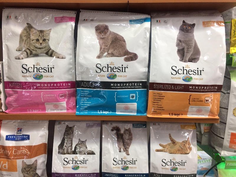 Top Dog Di Silvestri Salvatore - Foto 6