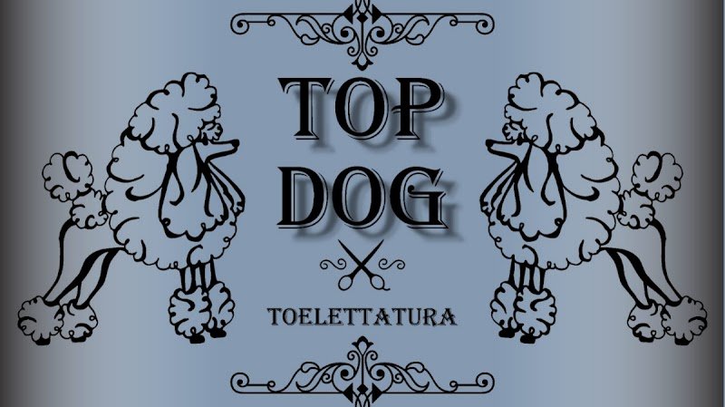 TOP DOG toelettatura - Foto 1