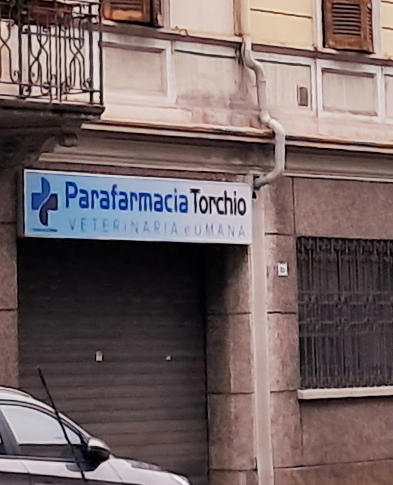 Torchio Giovanni - Foto 1