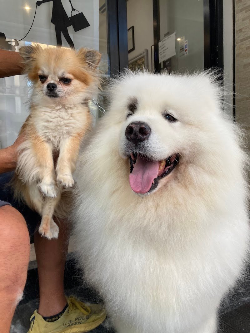 Totapulchra Toelettatura - Foto 4