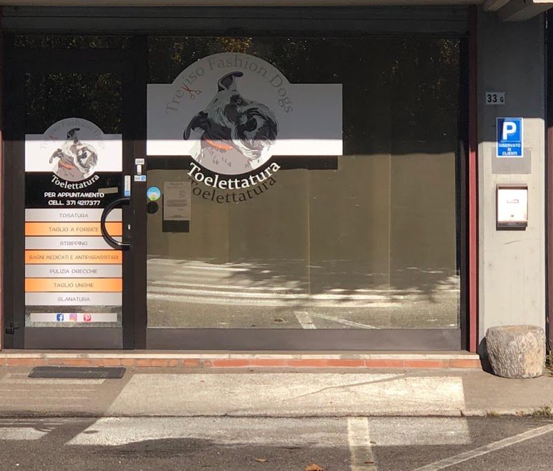 Treviso Fashion Dogs - Foto 1