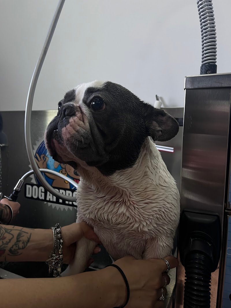 Trilly Wash - Foto 1