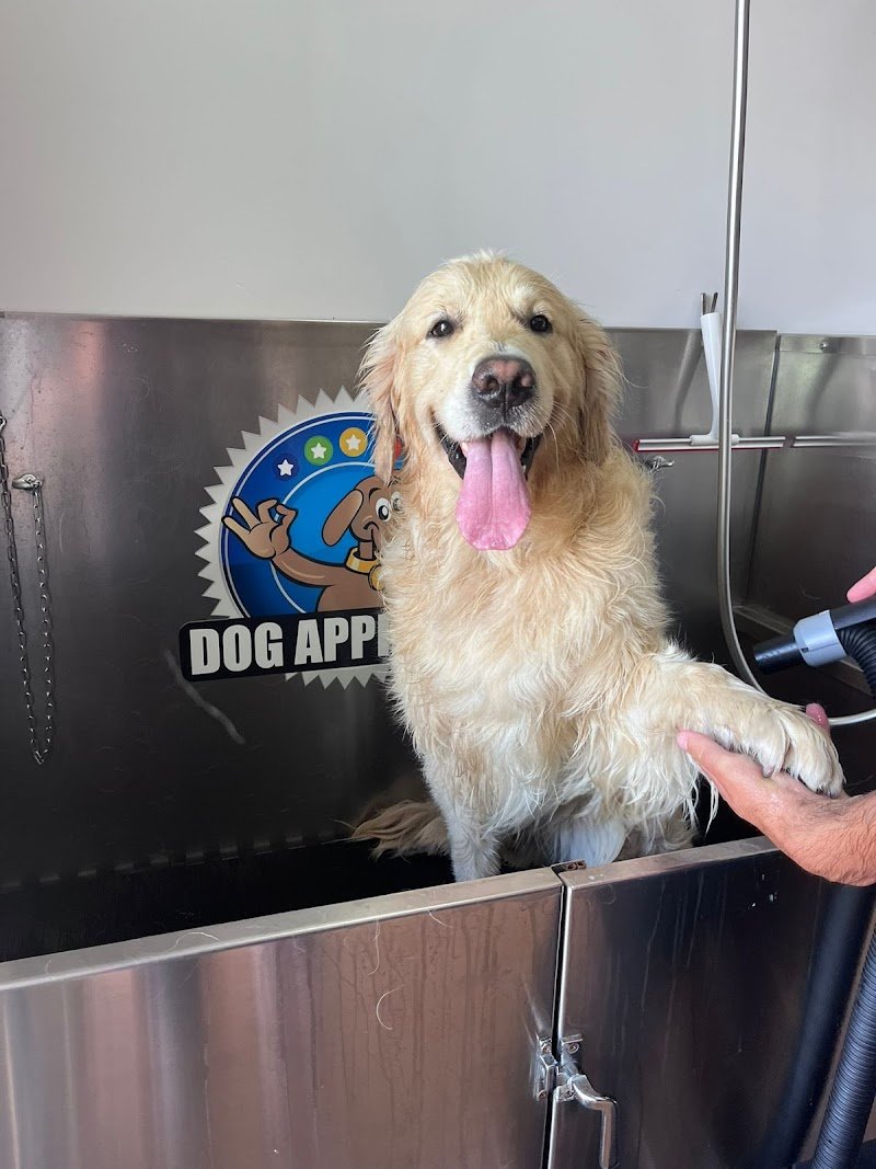 Trilly Wash - Foto 2