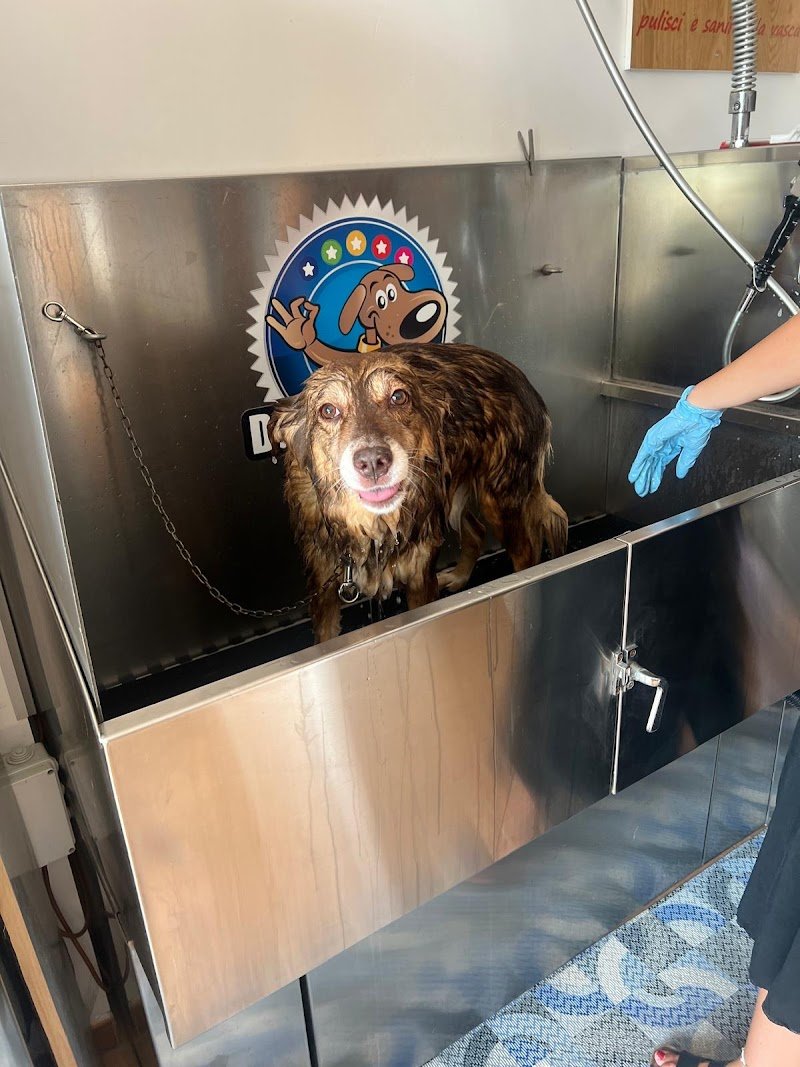 Trilly Wash - Foto 5