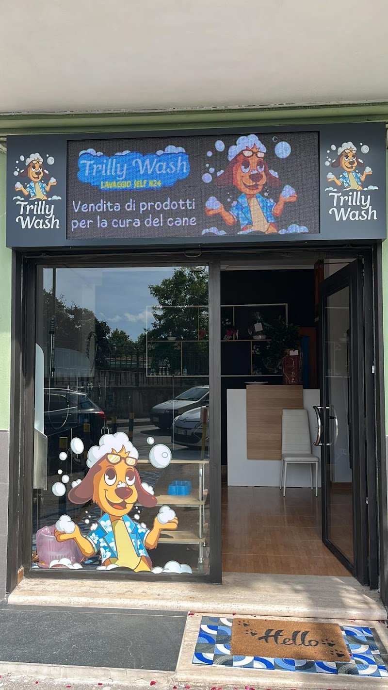 Trilly Wash - Foto 6