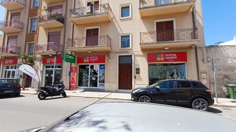 Tropical Aquarium PetShop - Foto 1