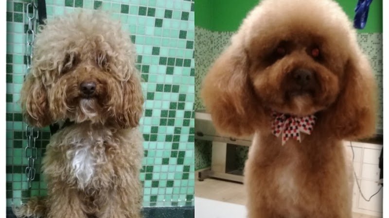 Tutti In Coda - Foto 1