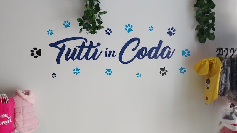 Tutti in Coda - Foto 1