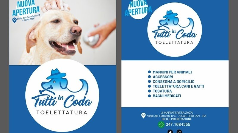 Tutti in Coda - Foto 4