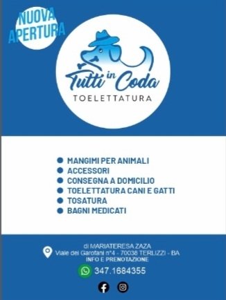 Tutti in Coda - Foto 5