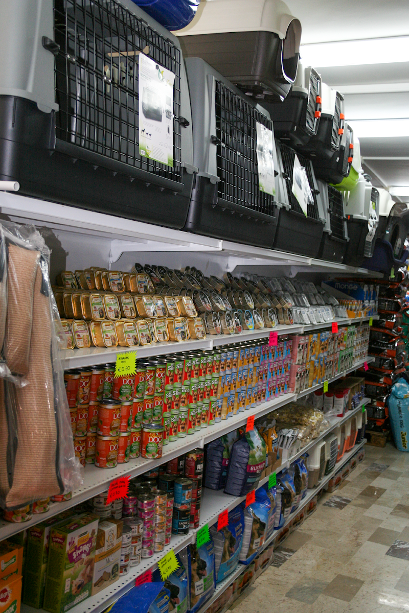 Uccelleria Siciliana Marsala - Foto 5