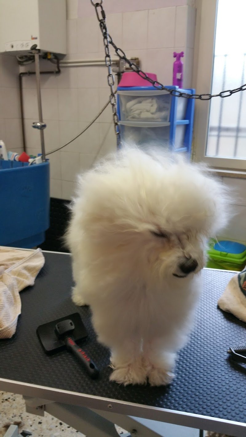 Un Bagno Di Coccole - Foto 3