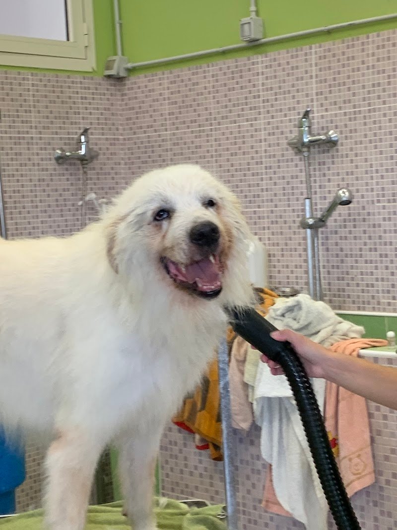 Un Bagno Di Coccole - Foto 4