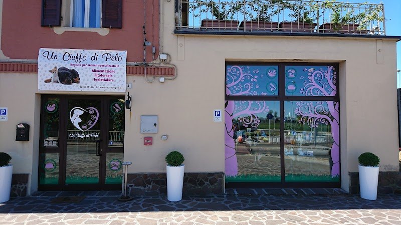 Un Ciuffo Di Pelo - Negozio per animali - Foto 1