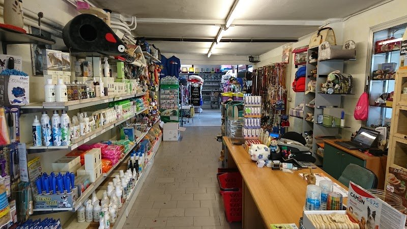 Un Ciuffo Di Pelo - Negozio per animali - Foto 4