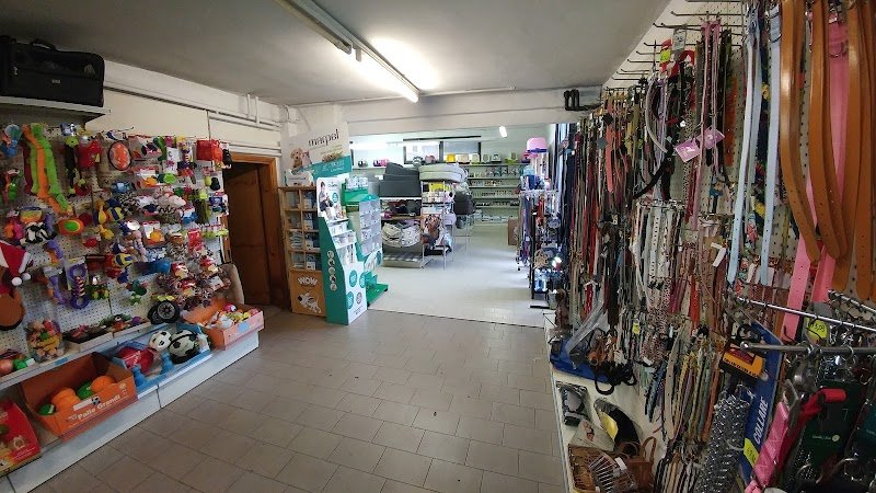 Un Ciuffo Di Pelo - Negozio per animali - Foto 6