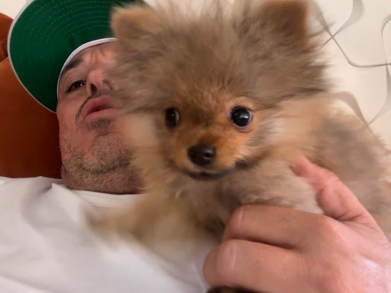 Un Milione di Zampe - Foto 4