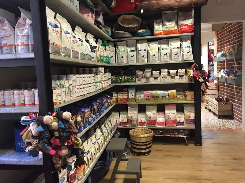 Urban Dog Petshop - Foto 2