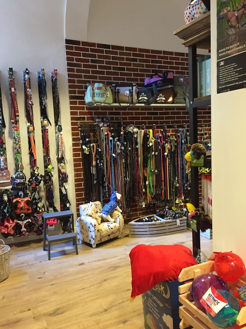 Urban Dog Petshop - Foto 6