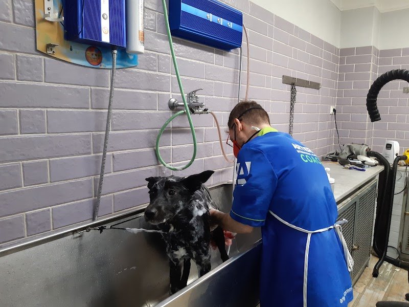 Urban Pet city SPA - Foto 1