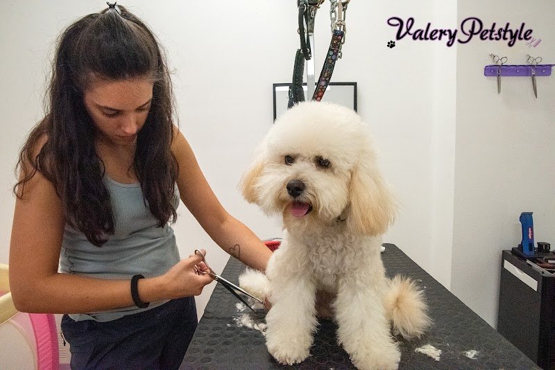 Valery Petstyle - Foto 2