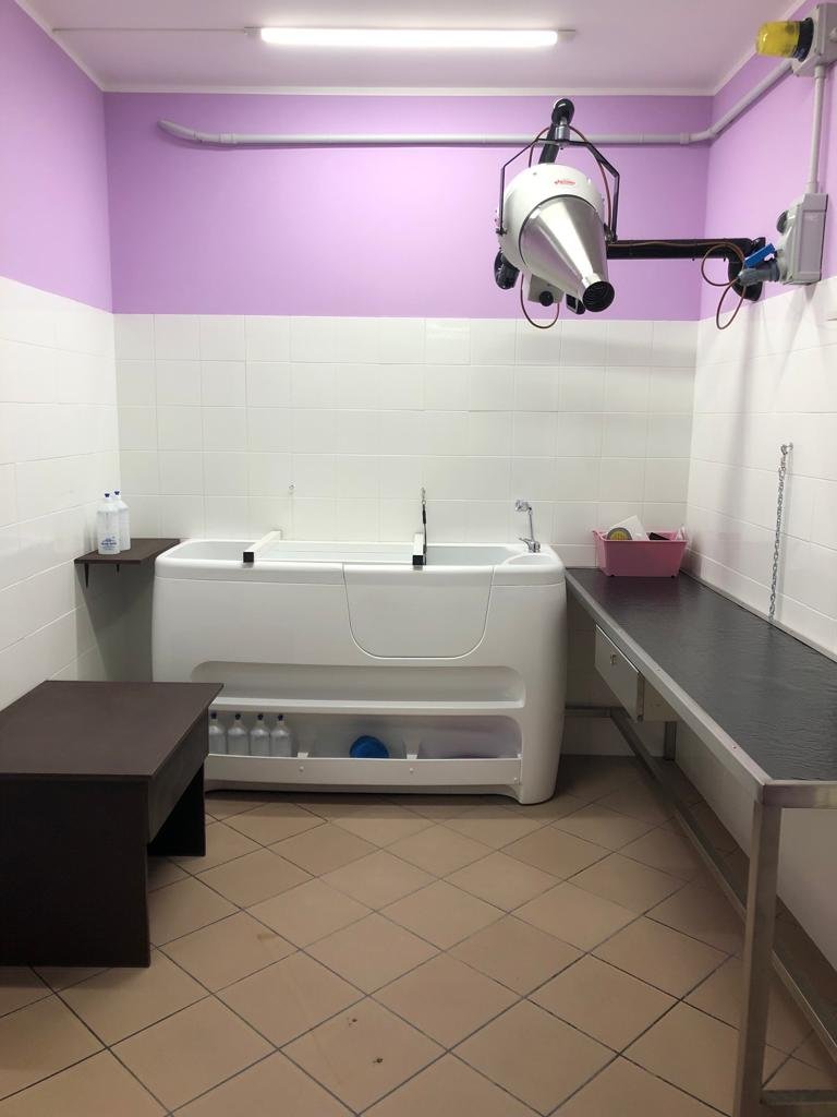 Valery Petstyle - Foto 5