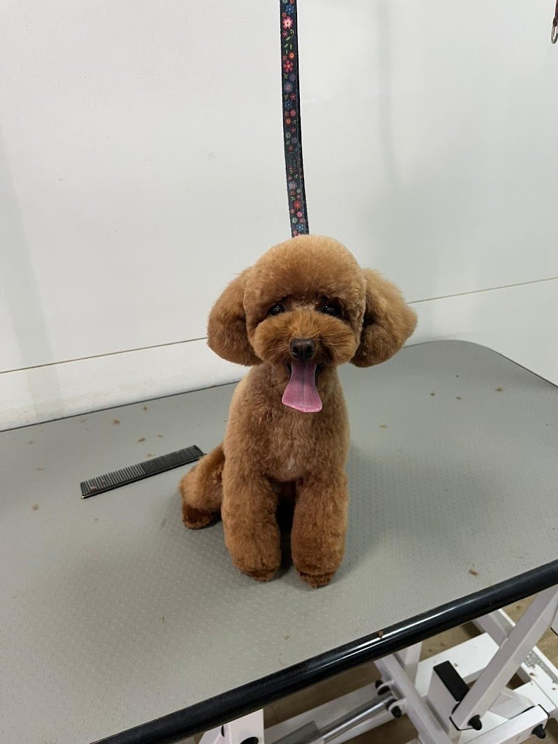 Vallina’s Lab di Valentina Delzotti - Foto 1