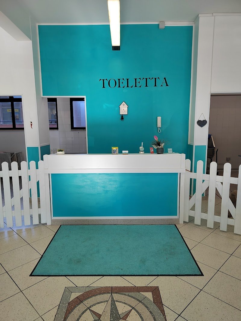 Vanità Pelose di Elisa Rabatti - Foto 4