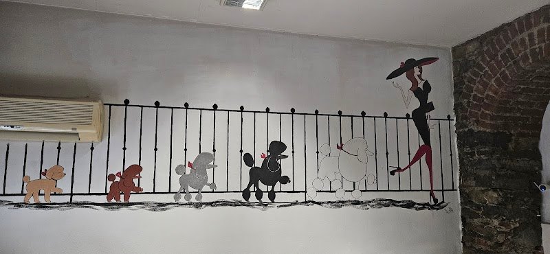 Vanity & Dog - Foto 1