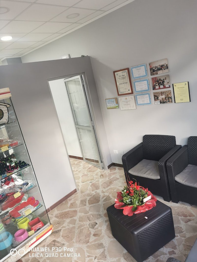 Vanity Dog da Lorenzo - Foto 5