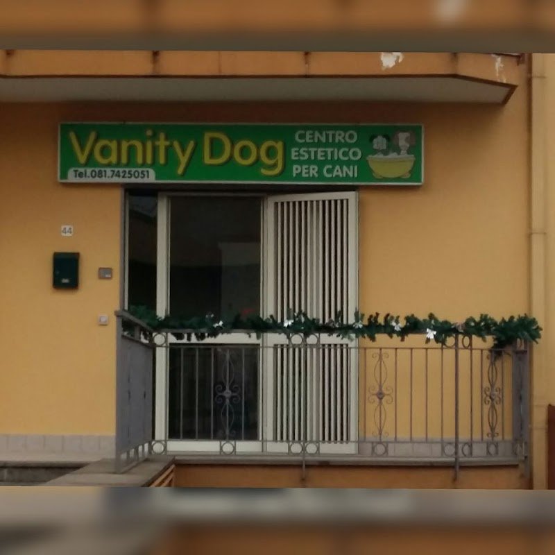 Vanity Dog Di Saulo Anna Patrizia - Foto 3