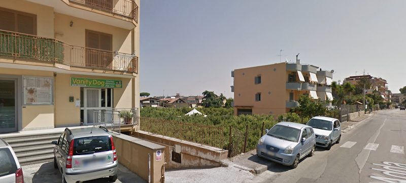 Vanity Dog Di Saulo Anna Patrizia - Foto 4