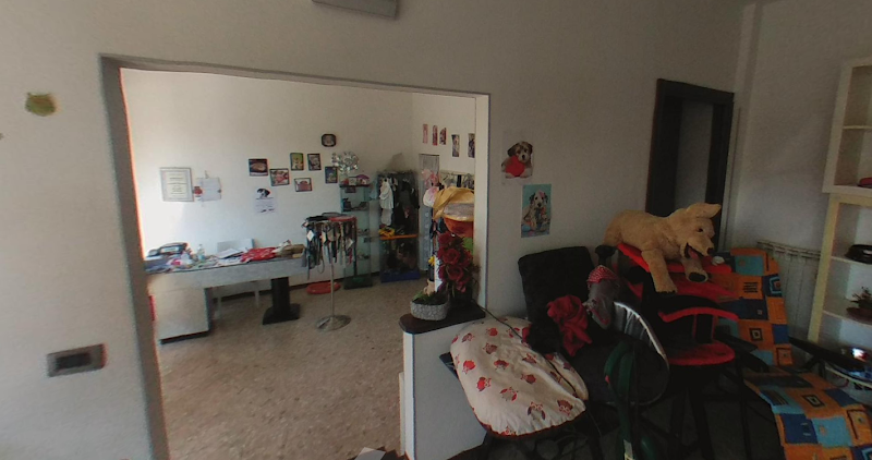 Vanity Dog Lanciano - Foto 1