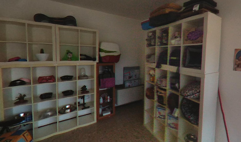 Vanity Dog Lanciano - Foto 2