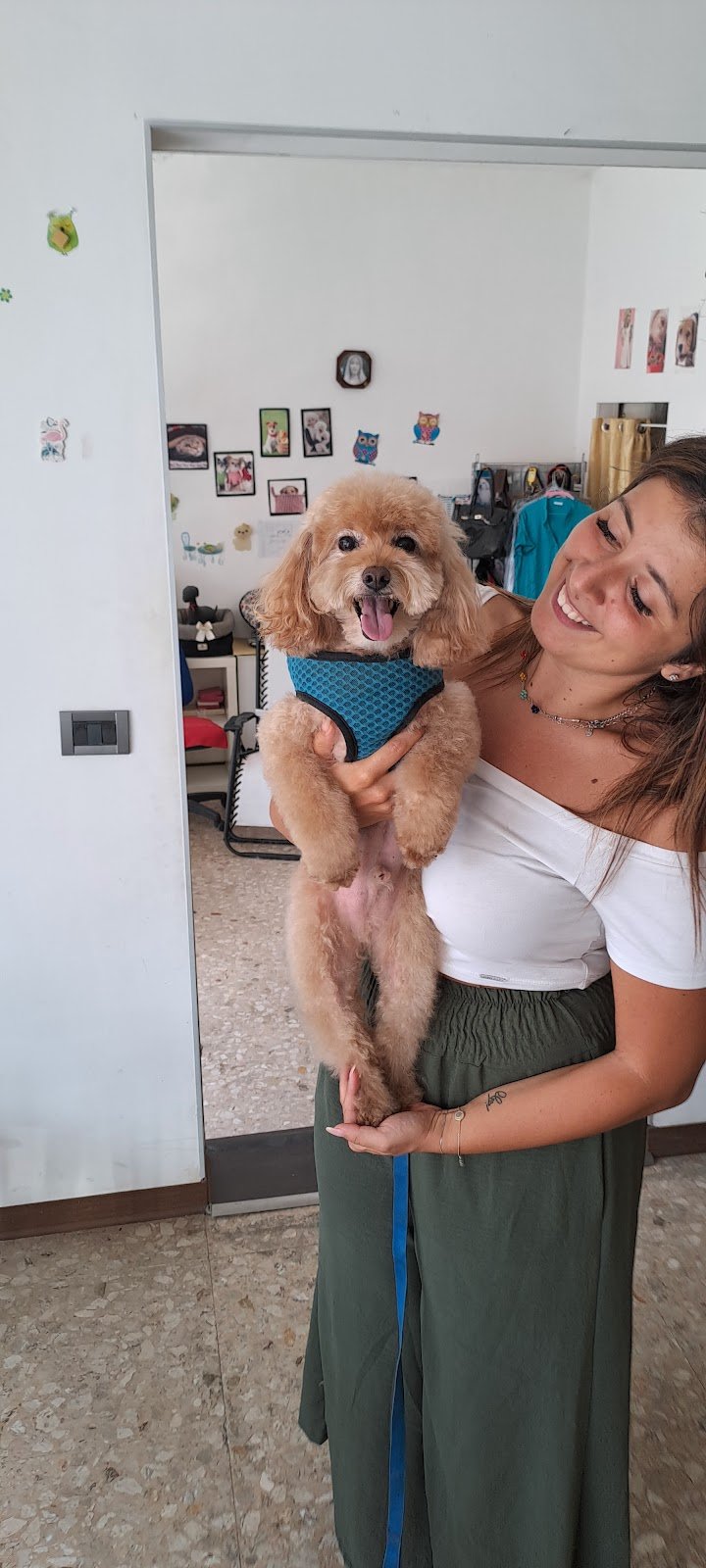 Vanity Dog Lanciano - Foto 6