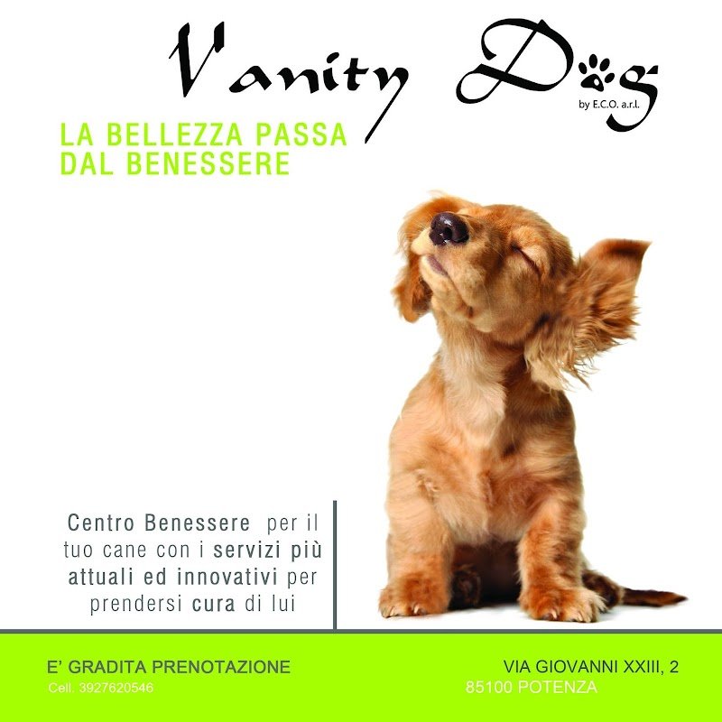 Vanity Dog - Foto 1