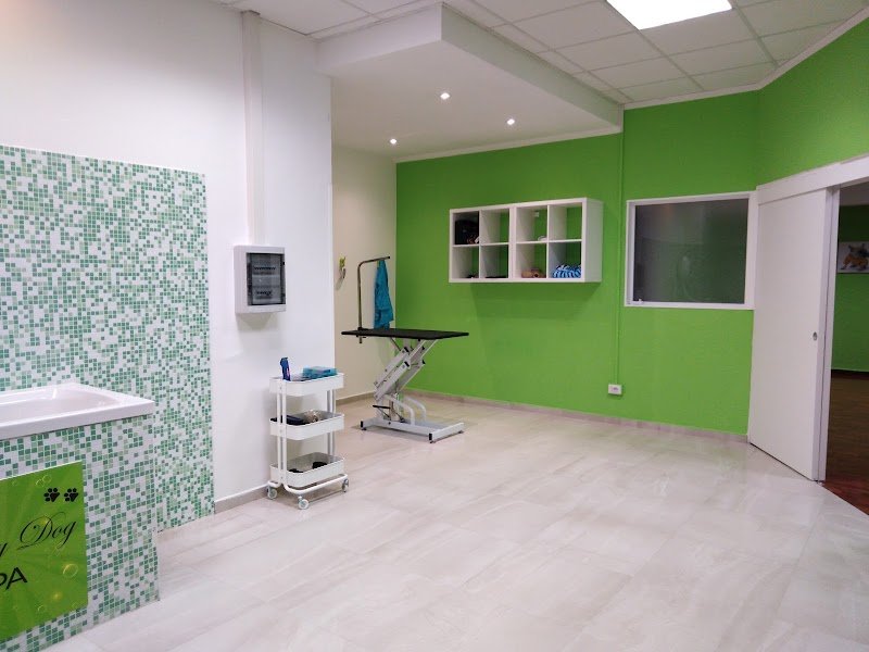Vanity Dog - Salone di Toelettatura e SPA - Foto 2