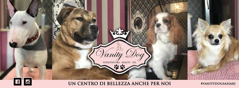 VANITY DOG SPA - Foto 1