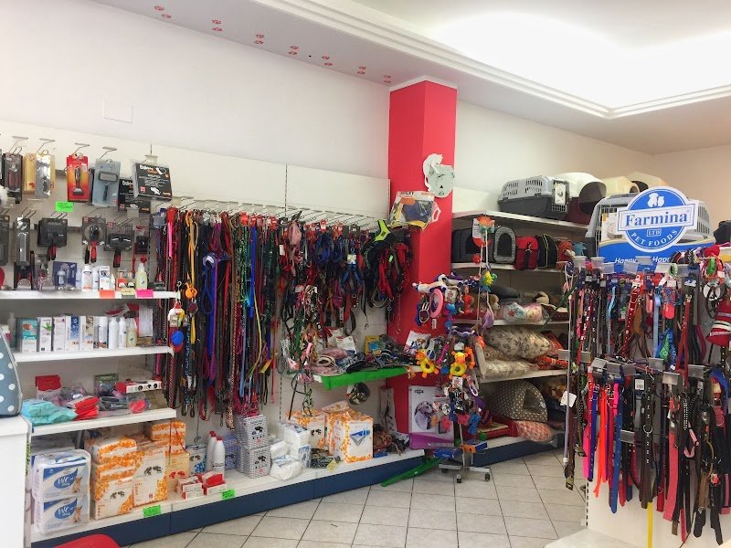 Vanity Pet Di Veronica Fiore - Foto 2