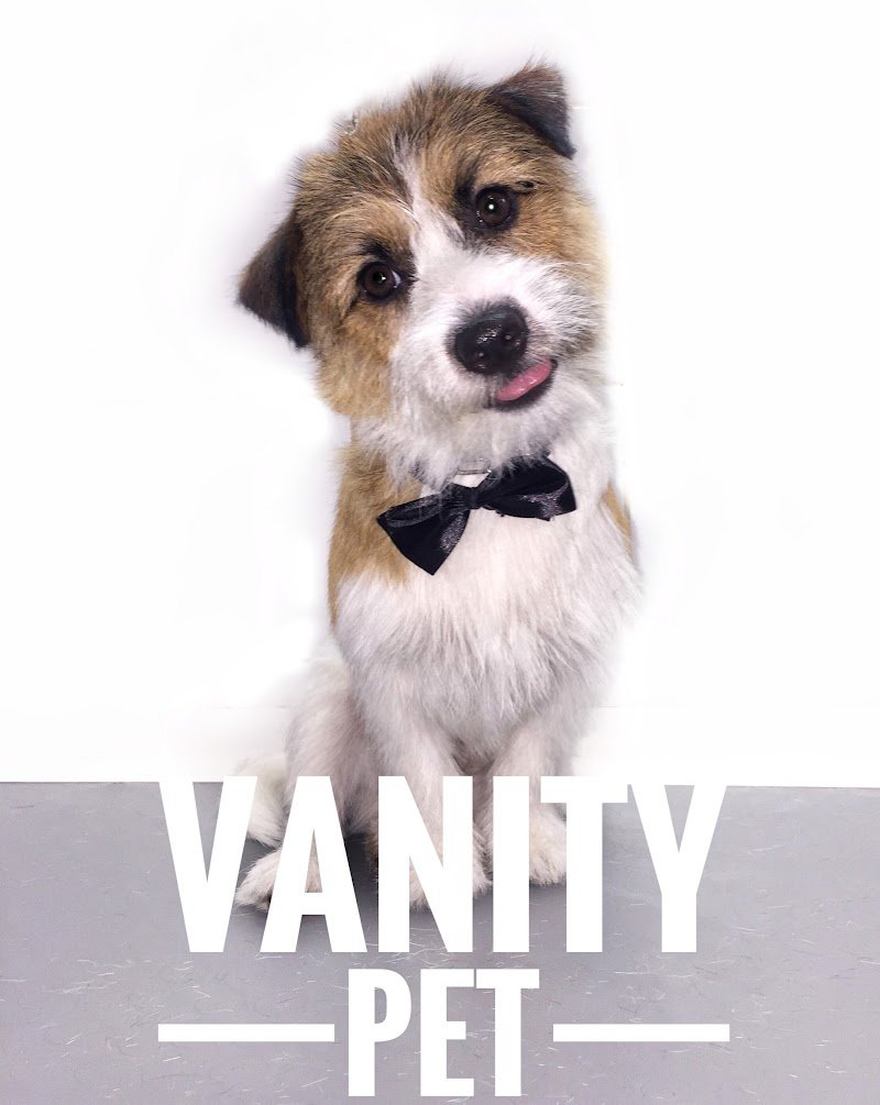 Vanity Pet Di Veronica Fiore - Foto 3